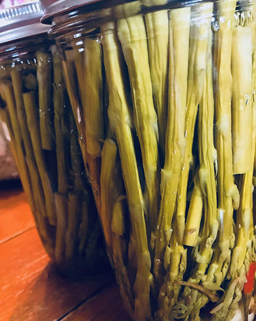 Pickled Asparagus