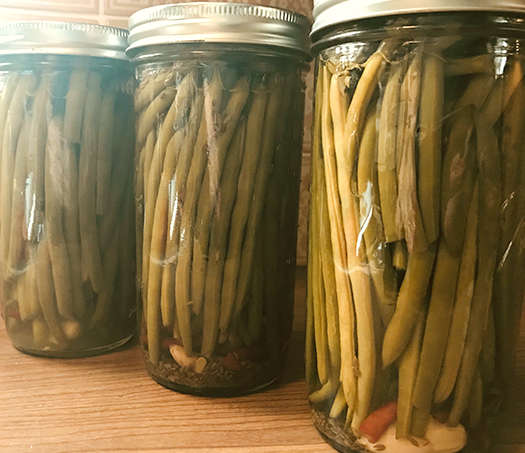 Pickled Green Beans