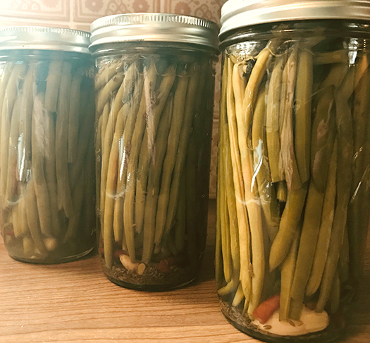 Pickled Green Beans